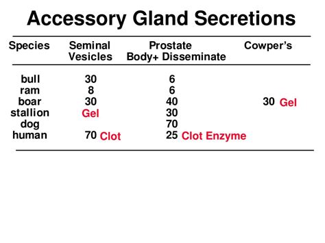 f ingredients in chanel 5 animal gland secretions